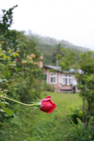 悠閒的山中生活