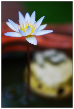 隨處走、隨便拍