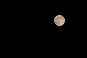 中秋月一張流