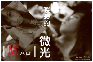 暖暖的微光-小貓