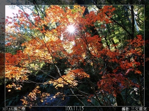 台8線107.6K楓之戀