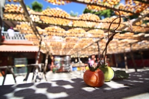 0927-新埔味衛佳柿餅