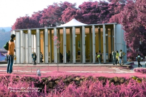 南投埔里 紙教堂