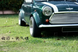 假日。天气晴。包子