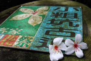 2012龍潭小粗坑古道-油桐花