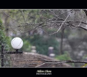 連續陰雨...趁機打炮...隨拍^^