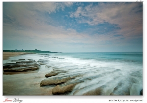 行雲流水。20120424老梅