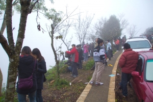 金龍山槓龜殘念.....