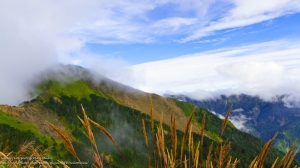 合歡山之遇到大烏龜 by Lenny