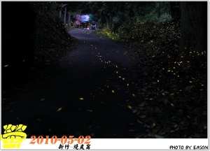 2010-05-02新竹-燒炭窩螢火蟲