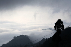 2012-12-31 我在頂石棹