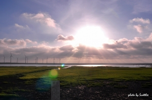 『5/28』高美濕地之落日光輝