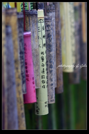懷舊的菁桐老街