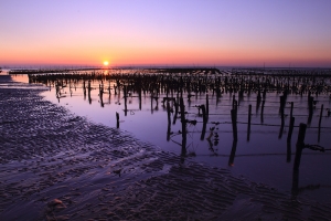 夕陽美、蚵寮也很美