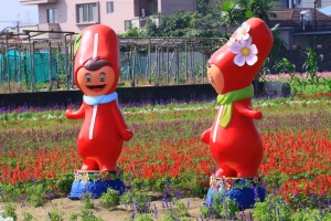 高雄大寮紅豆節花海