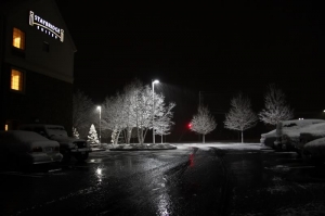 突然的一場大雪