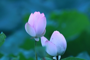 賞荷--3小時精選輯