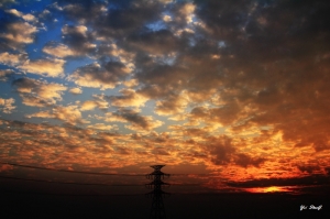 生活小品 with sigma 30mm f1.4