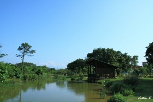 桃園八德埤塘公園