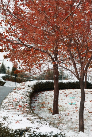 雪后风光