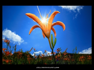 2009台灣風景回顧