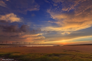 高美濕地夕燒