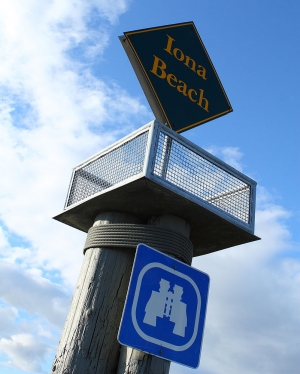 機場邊的Iona Beach