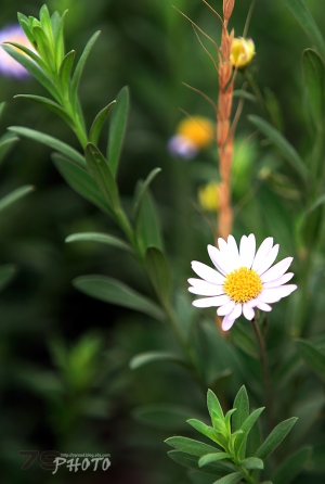 【79街】初夏..之...3P小景