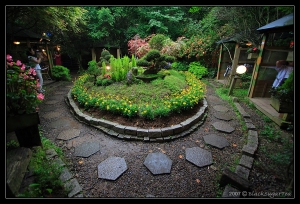 又到追楓的季節，先貼舊作暖身