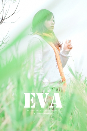 + E V A +