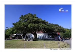 [宅爸] 老婆公司家庭日@飛牛牧場