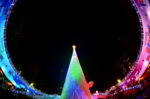 新北市府聖誕樹..也祝大家聖誕快樂