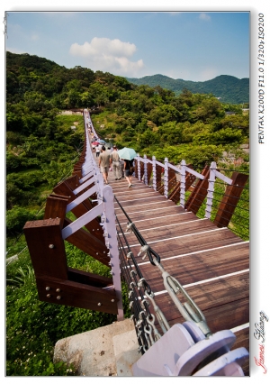 碧山望遠。20100816碧山巖隨拍