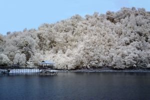 馬來西亞沙巴紅外線