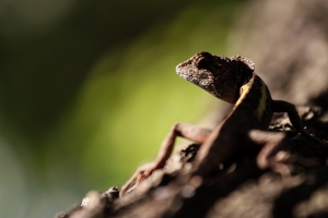 華陶窯生態之旅