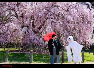 那個國度，曾經走過