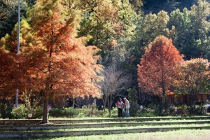 武陵農場, 20101127