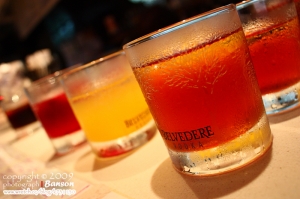 網際超模記者會~