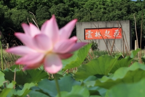 荷~斗六人文公園