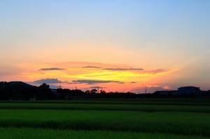 田園日出