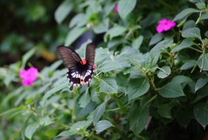 2012 12月攝影記錄