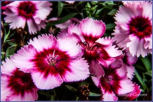 2012 杰克的隨拍 (21) 一路上有你