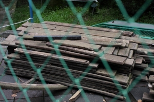 福至心靈，感覺有FU(植物園)