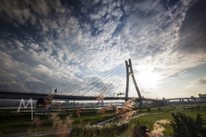 新北大橋繼續搖