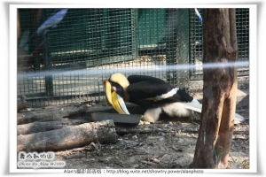 【遊記】高雄壽山動物園