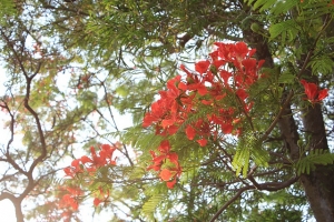 畢業季in東海