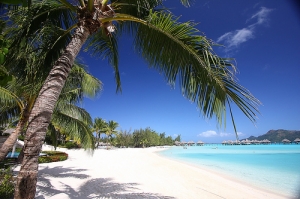 背包蜜月之大溪地