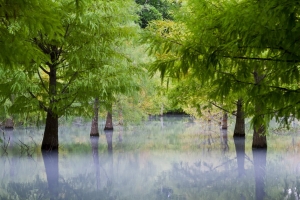 在夢裡呼喚我的地方--花蓮雲山水