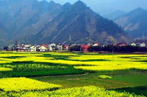 黃山、景德鎮、婺源〔一〕－杭州到黃山