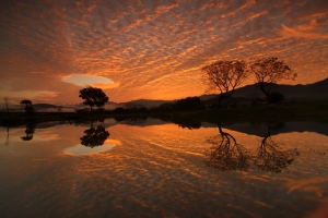 0212-竹東河濱倒影之美